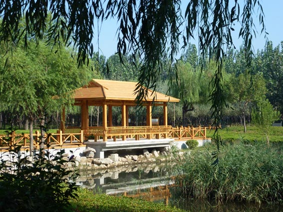 ֲ��԰��¶��鿣�