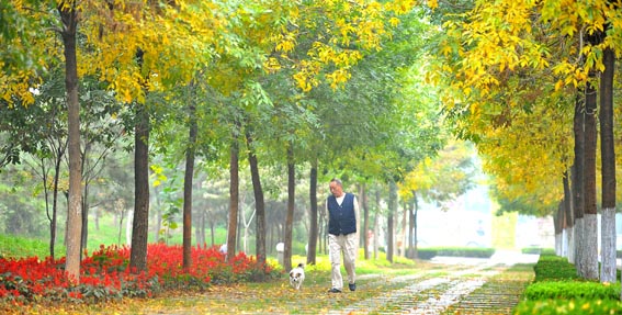 �ݳ�����һ����г԰��