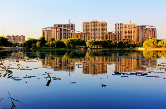 �ݳ����϶������ӹ�԰��