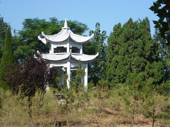 ֲ��԰������ͤ��