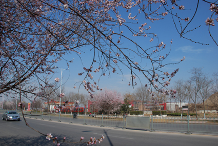 ����·��ɽ�ң�