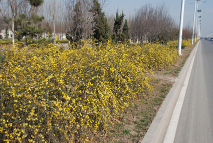 �㴨�����ӭ����