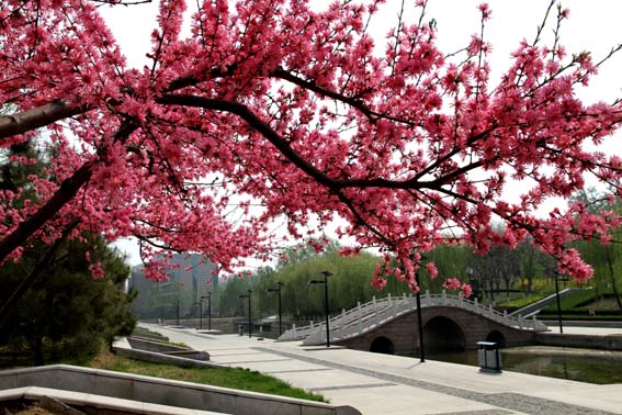 �Ӷ��̵ش���