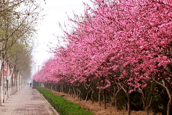 ���⻷����