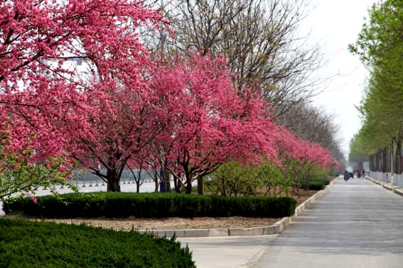 ����·����