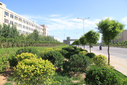 �����̻�����Ч������