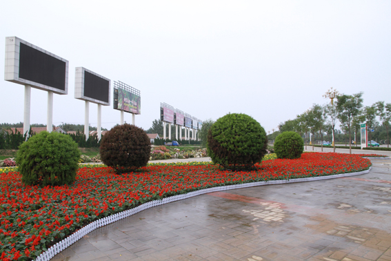 ӭ���Ľ�̫����͹��������ʻ�